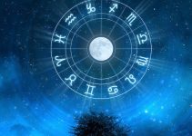 Qual a raça de cachorro de cada signo?